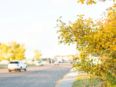 Photo of a street in downtown Dawson Creek with cars driving through and fall leaves on the trees