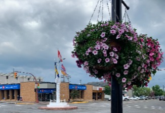 Picture of flower basket