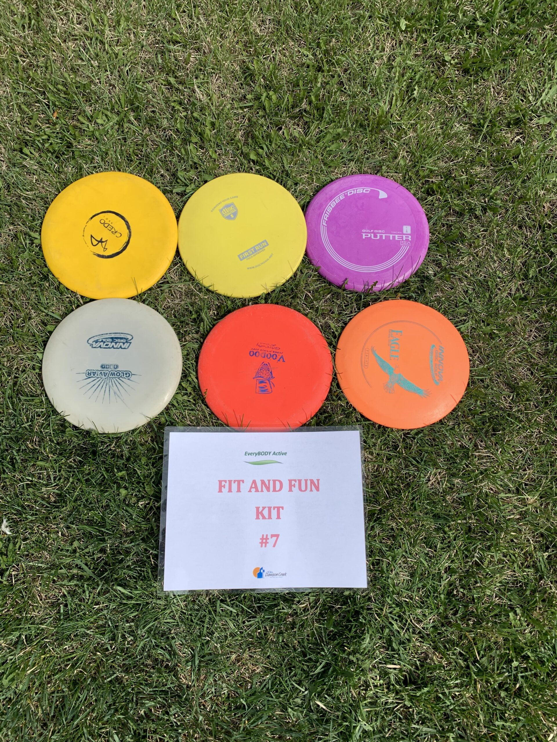 Picture of Fit and Fun Activity Kit 7 Disc Golf