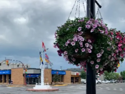 Picture of flower basket