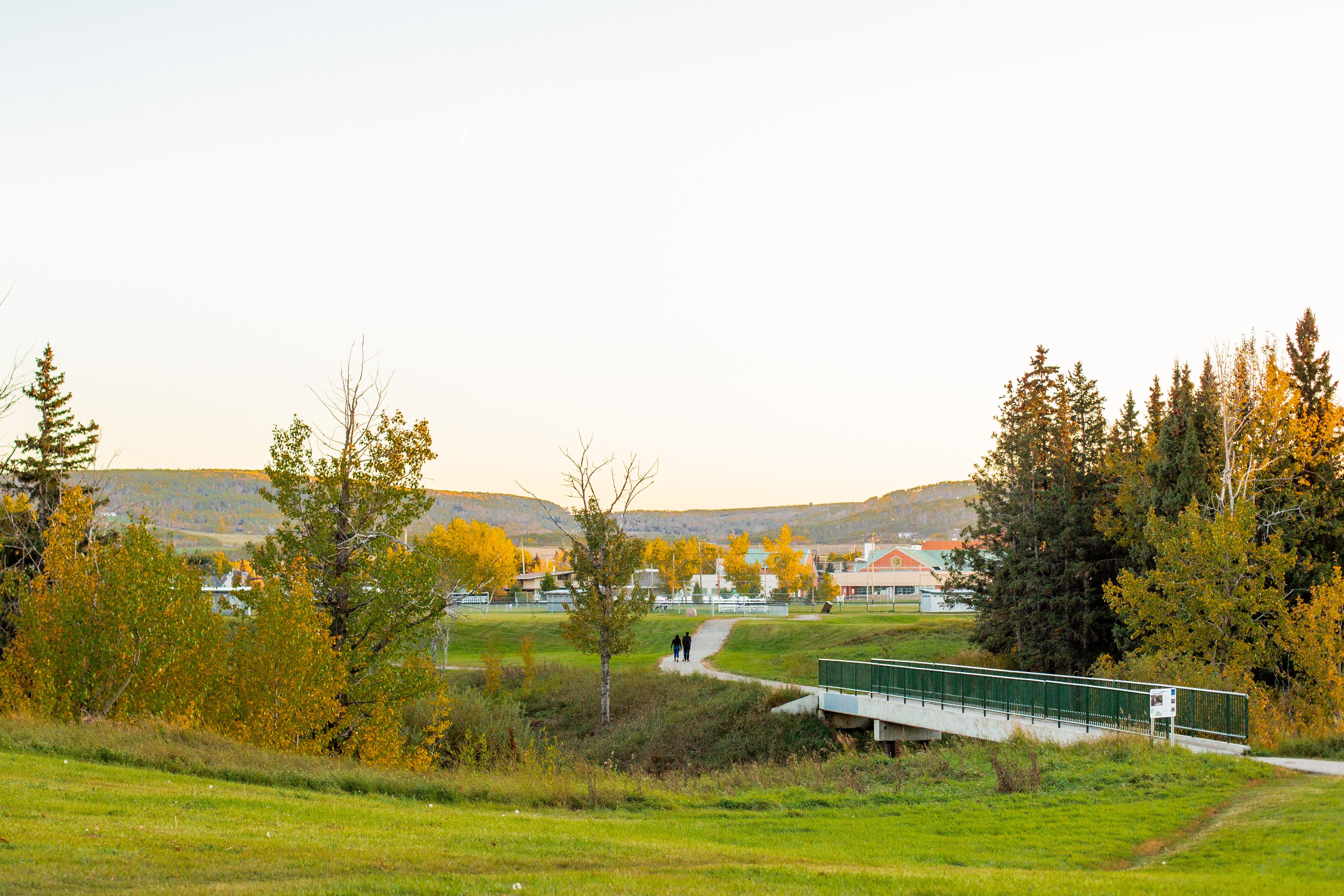 Photo of couple in the distance walking on a path in the park