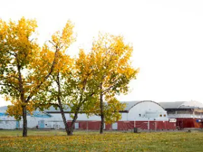 Picture of field and buildings