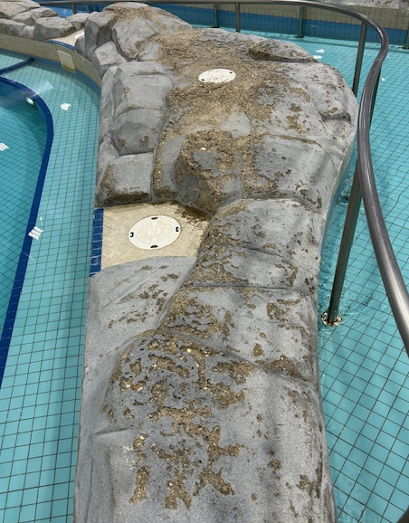 Photo of fake rocks near the edge of a pool