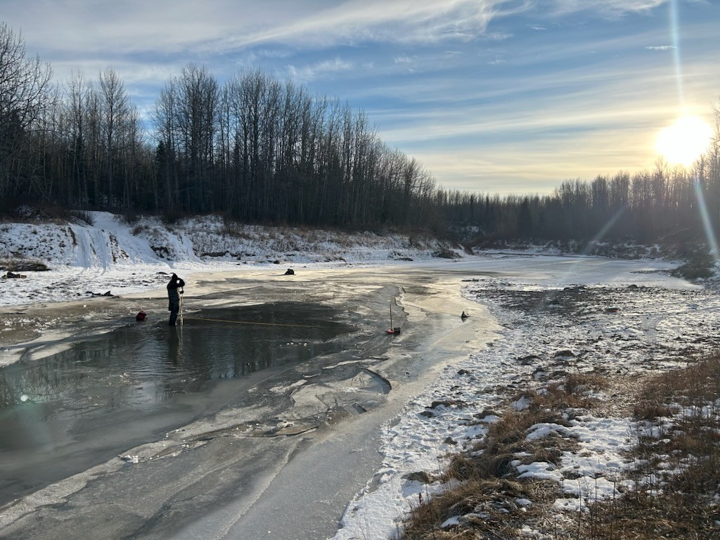 Picture of swimming pool