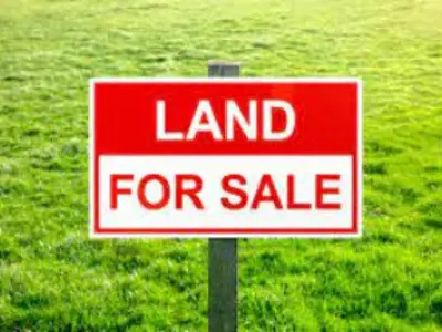 Picture of for sale sign