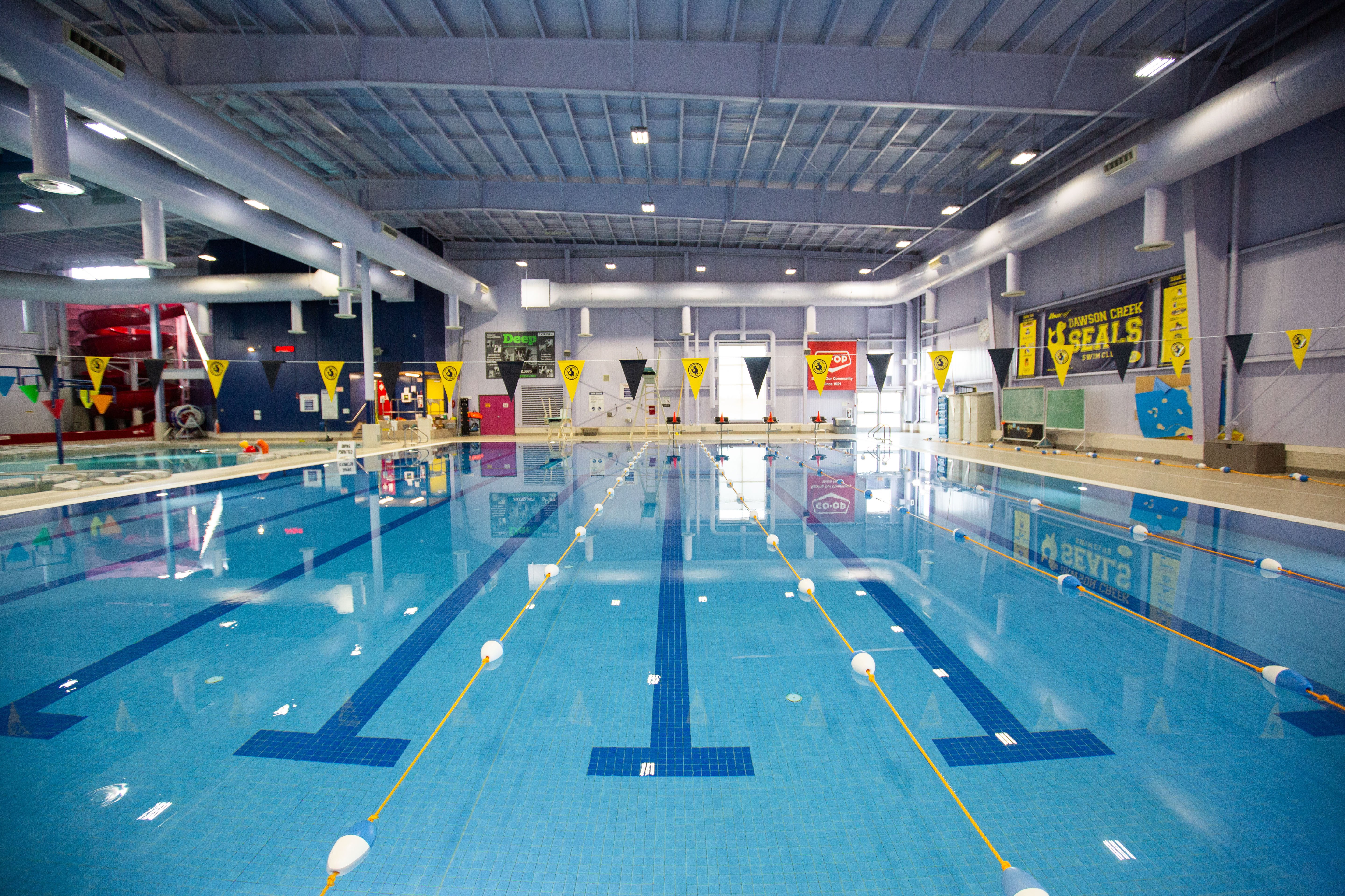 Photo of a large pool with lanes for swimming