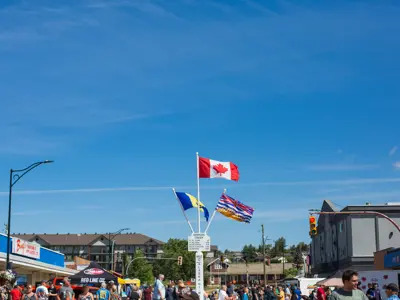 Picture of flags